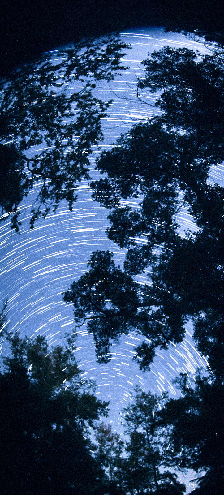 star trails 