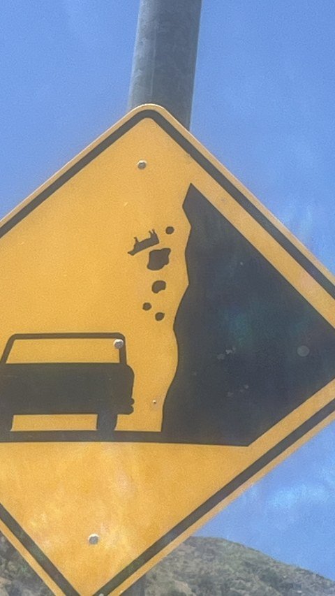 Raining Cows — Just a warning sign in Kern River Valley